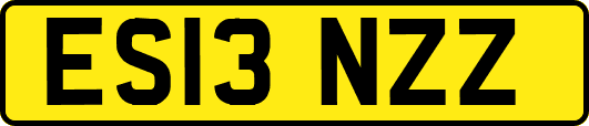ES13NZZ