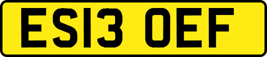 ES13OEF