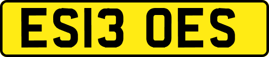 ES13OES