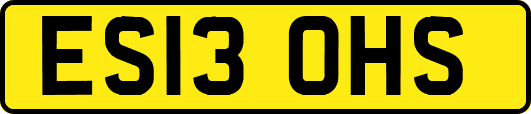 ES13OHS