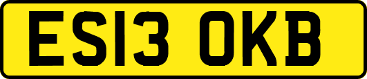 ES13OKB