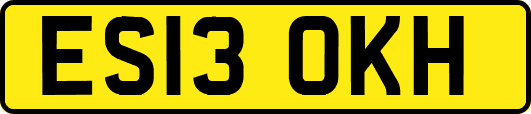ES13OKH