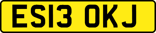 ES13OKJ