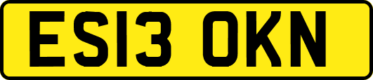 ES13OKN