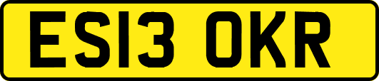ES13OKR