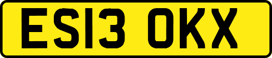 ES13OKX