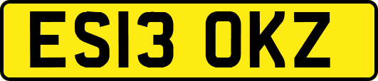 ES13OKZ