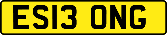 ES13ONG