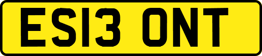 ES13ONT