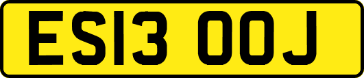 ES13OOJ