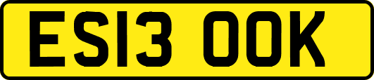 ES13OOK