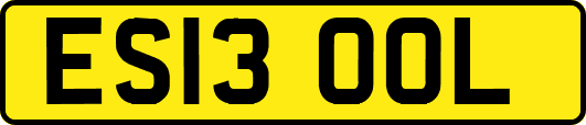 ES13OOL