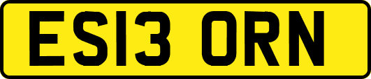 ES13ORN