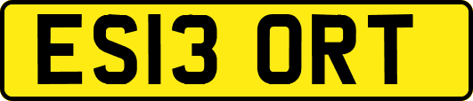 ES13ORT