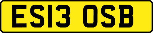 ES13OSB