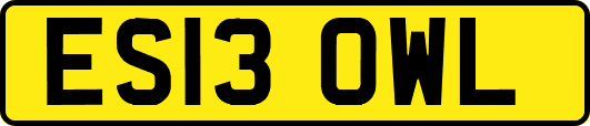 ES13OWL