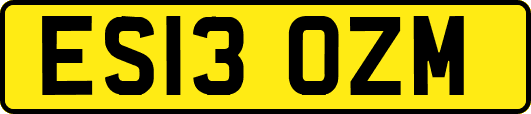 ES13OZM