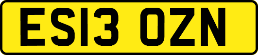 ES13OZN