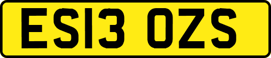ES13OZS