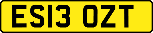 ES13OZT
