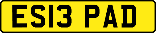 ES13PAD