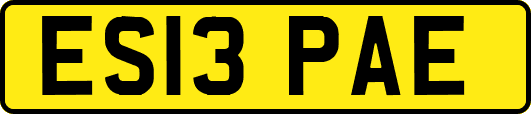 ES13PAE