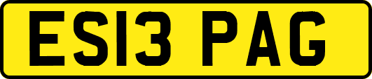 ES13PAG