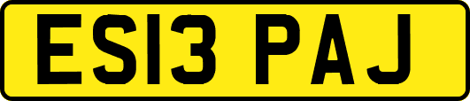 ES13PAJ