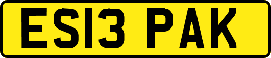 ES13PAK