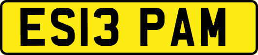 ES13PAM