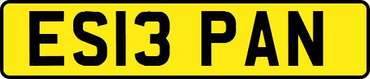 ES13PAN