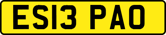 ES13PAO