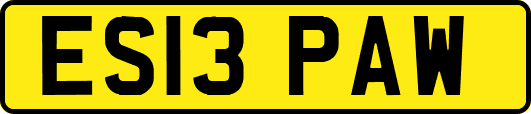 ES13PAW