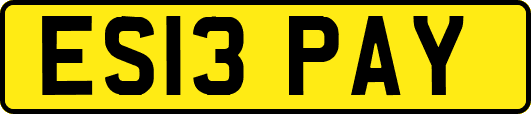 ES13PAY