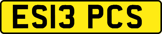 ES13PCS