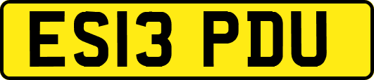 ES13PDU