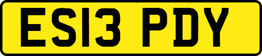 ES13PDY