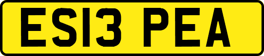 ES13PEA