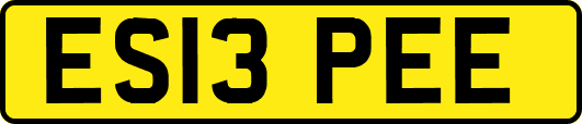 ES13PEE