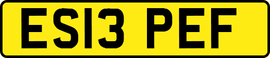 ES13PEF