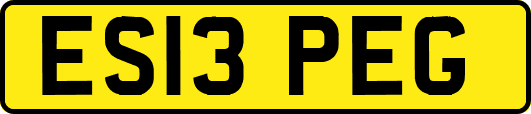 ES13PEG