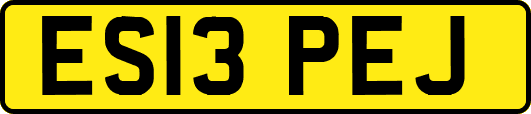 ES13PEJ