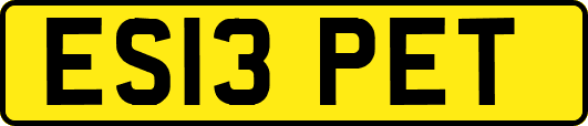 ES13PET