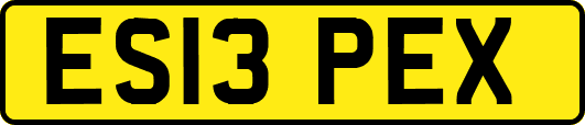 ES13PEX