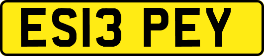 ES13PEY