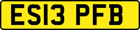 ES13PFB