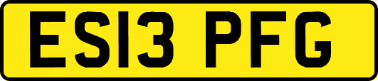 ES13PFG
