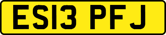 ES13PFJ