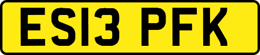 ES13PFK