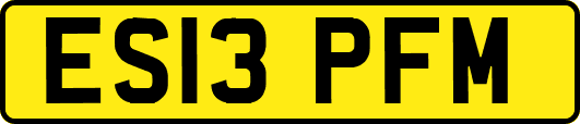 ES13PFM